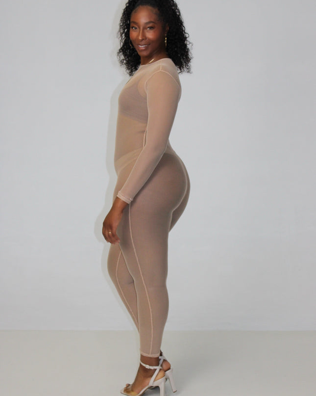 Nude Mesh Jumpsuit