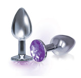 Silver starter circle purple gem