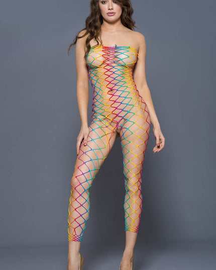 Rainbow fishnet